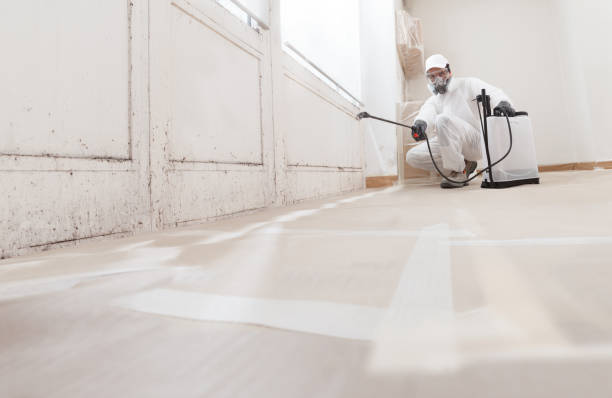 24/7 Emergency Bathroom Mold Removal experts in Smithfield, VA