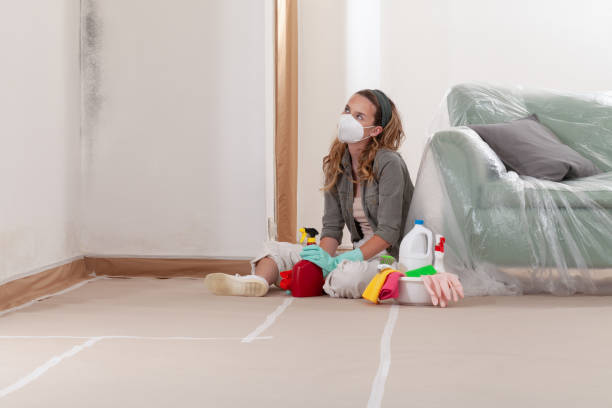 Reliable Bathroom Mold Removal contractor in Smithfield, VA by Mold Remediation HQ