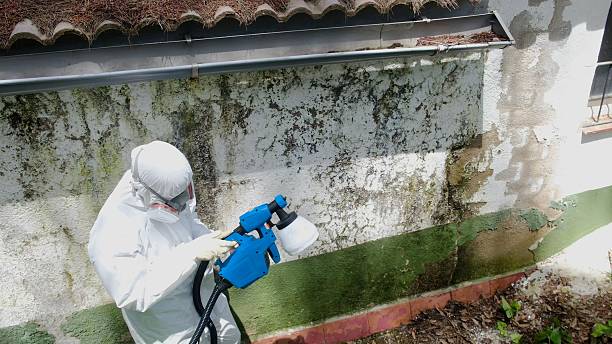 Top rated local Bathroom Mold Removal specialists in Smithfield, VA